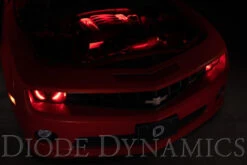 Diode Dynamics RGBW Engine Bay Strip Kit 4pc Multicolor -Esptruck Shop f2baea74f8c08561b36735b3b4cdb58d e8a05b94 dbc4 4e8d a5b1 4f379a73b44d