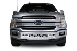 Putco 18-20 Ford F-150 - Hex Shield Style - Polished SS Bumper Grille Inserts 14 Putco 18-20 Ford F-150 - Hex Shield Style - Polished SS Bumper Grille Inserts -Esptruck Shop f813229db8502e48939710f337dda1cd